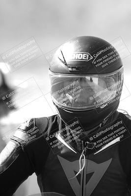 media/Mar-08-2025-TrackXperience (Sat) [[277b597a28]]/1-Around the Pits - Pre Grid/